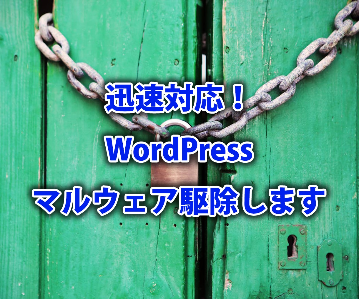 迅速対応!WordPressマルウェア駆除します 緊急対応OK!感染駆除からセキュリティ強化まで徹底サポート イメージ1