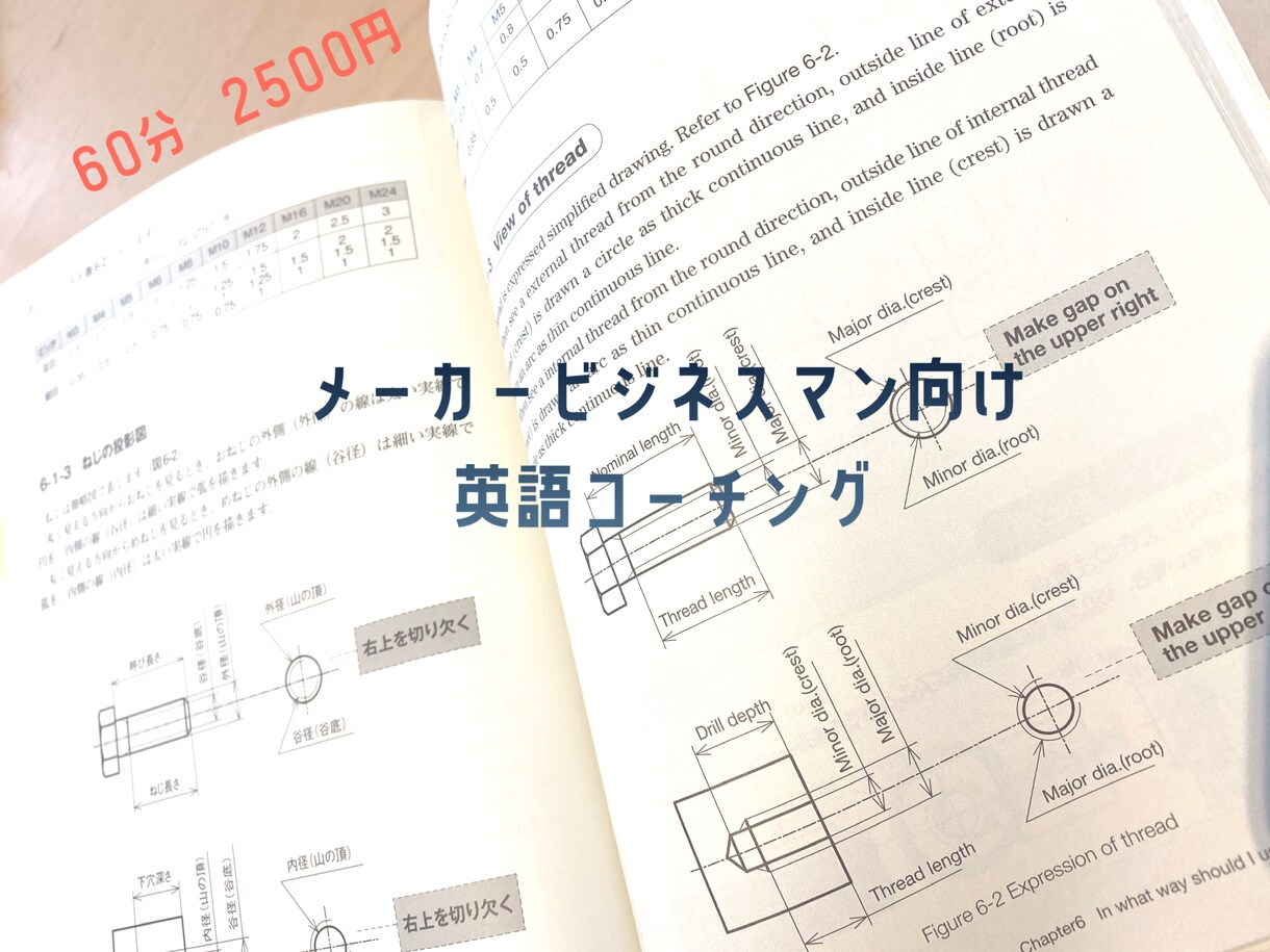 ビジネス英語のコーチングをします メーカー海外購買出身者が英語の習得方法をアドバイスします イメージ1