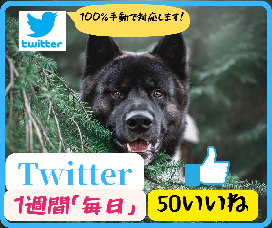 twitter＞毎日＜50いいね運用代行します 大事なアクションである「いいね」をアクティブユーザーに！ イメージ1