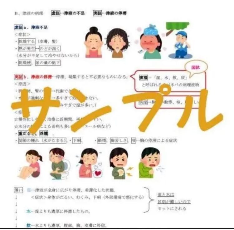 東洋医学概論をまとめたノートをお譲りします 勉強が捗る！イラスト沢山のカラフルで見やすいノートです。 イメージ3