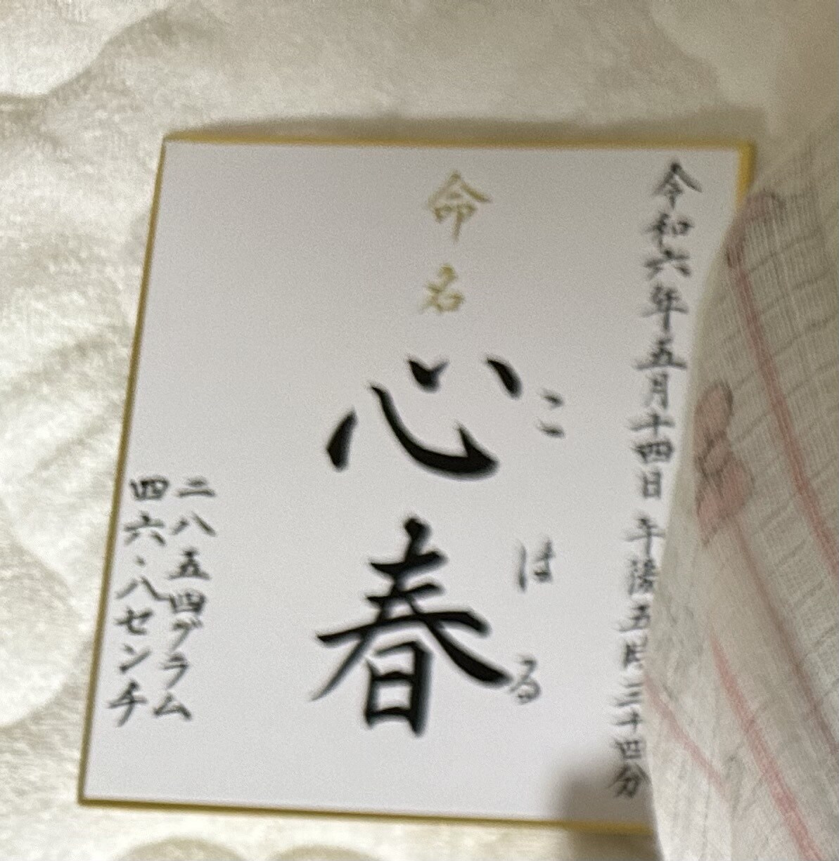 命名書や賞状、毛筆で様々書かせて頂きます 可愛いお子様の誕生に併せ綺麗な字でお名前を書かせて頂きます イメージ1