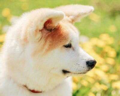 どんなお話でもＯＫ。気軽にお話相手になります １分〜お話ききます。悩み、怒り、いろんな気持ちを発散しよう。 イメージ4