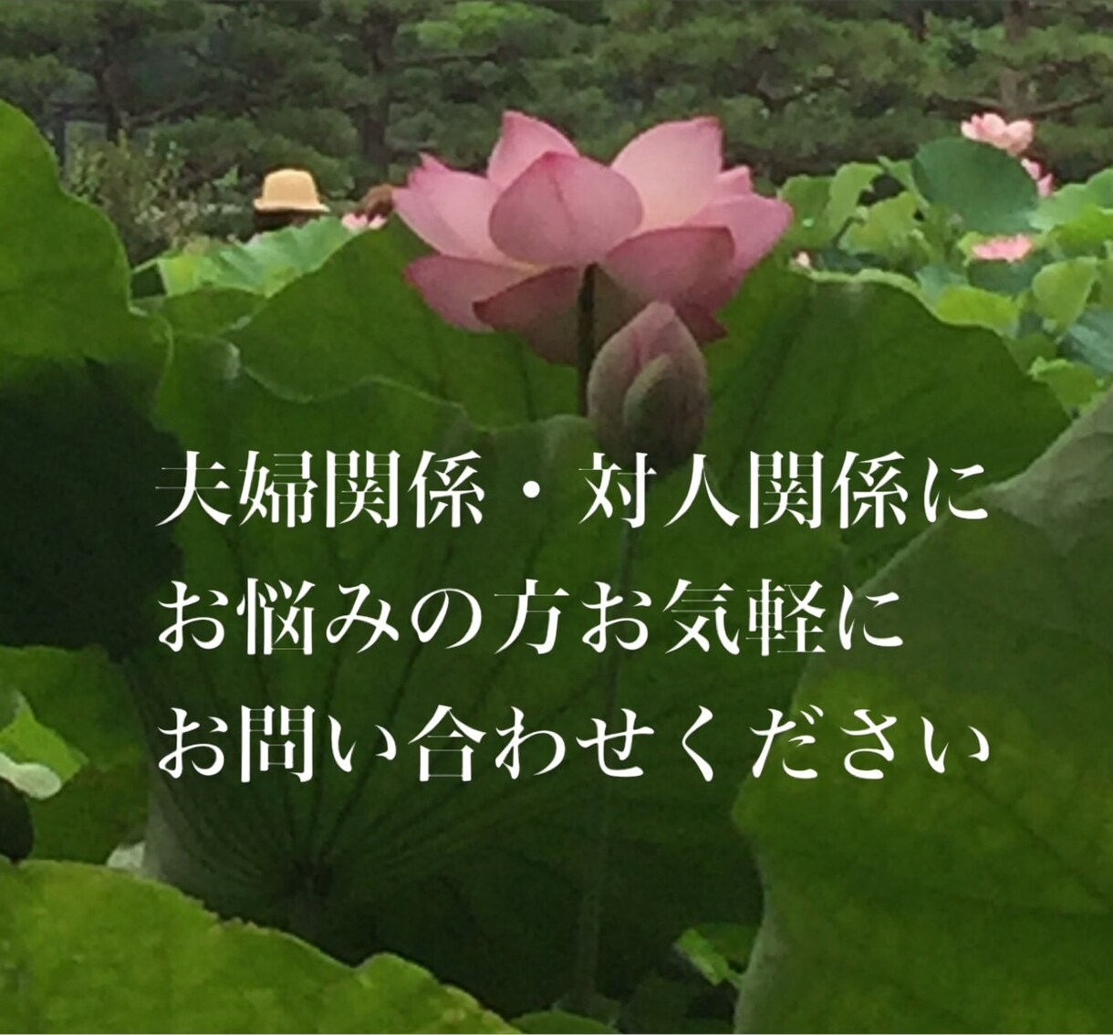 お悩みお聞き致します 悩んでいる事があるのだけど、どうしたら良いかわからない方 イメージ1