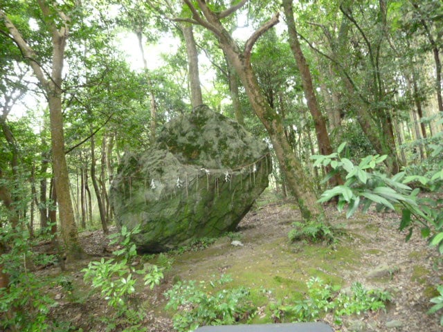 霊感タロットカード占い致します 個人情報不要ですのでご安心下さい。 イメージ1