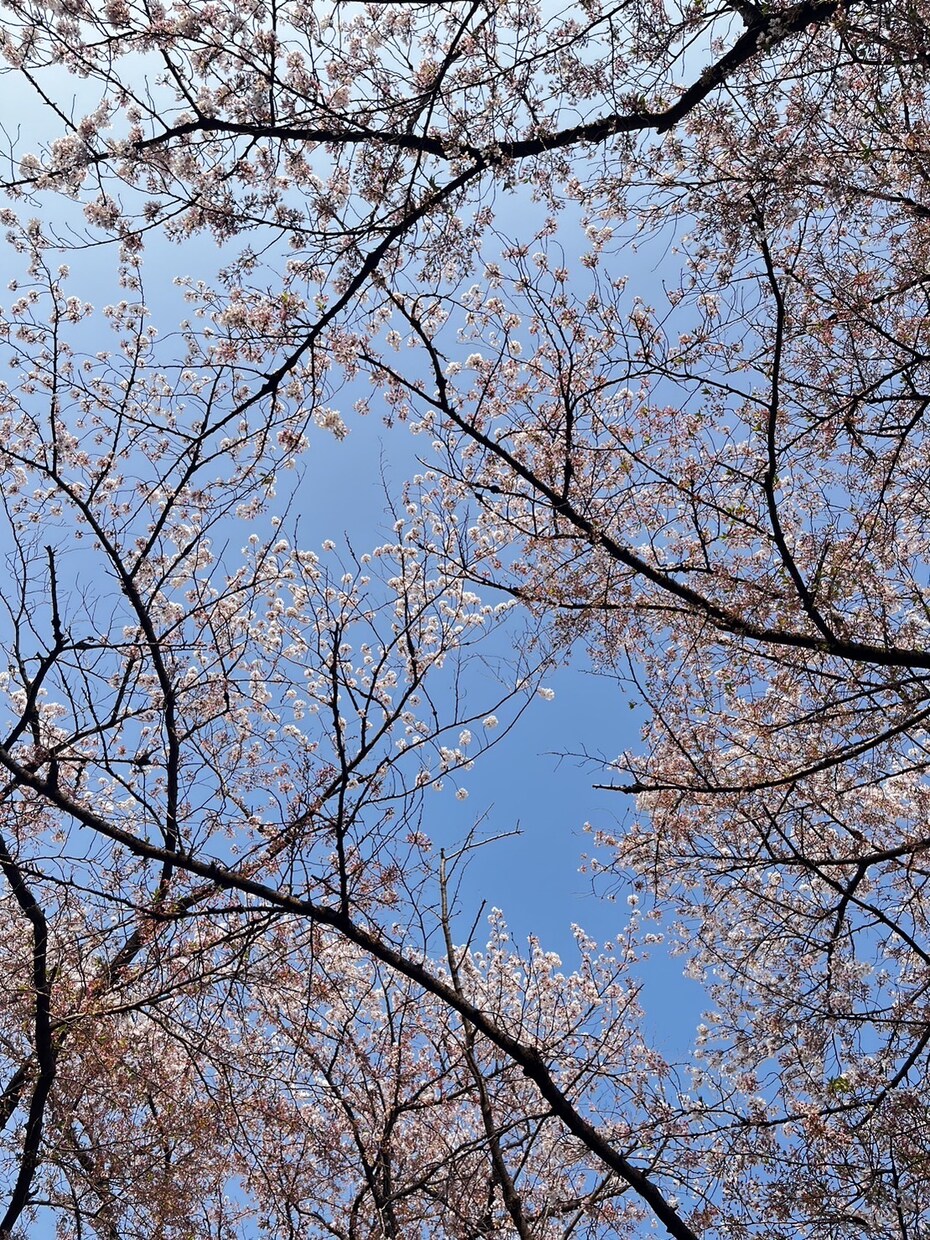 29歳バツイチの私が夫婦関係をタロットで占います ◎お悩み相談はもちろん、愚痴を聞くだけでもOKです＾＾ イメージ1