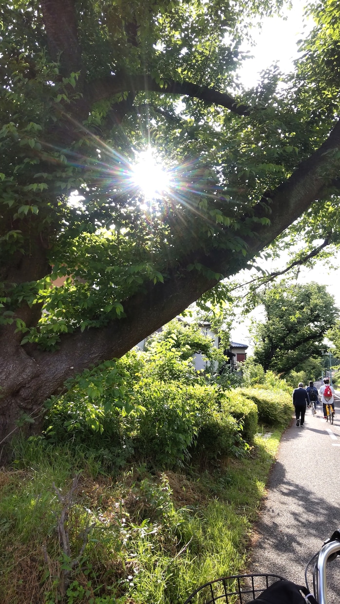 モヤモヤする相手の気持ち、占います 今、苦しい貴方のために、恋愛いろいろ受け付けます。 イメージ10