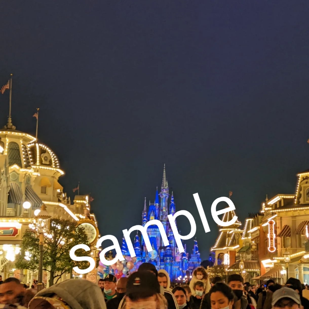 NY、ラスベガス、LA、ディズニーの写真提供します 全部で628枚☆アメリカ☆用途指定なし☆即提供可 イメージ5