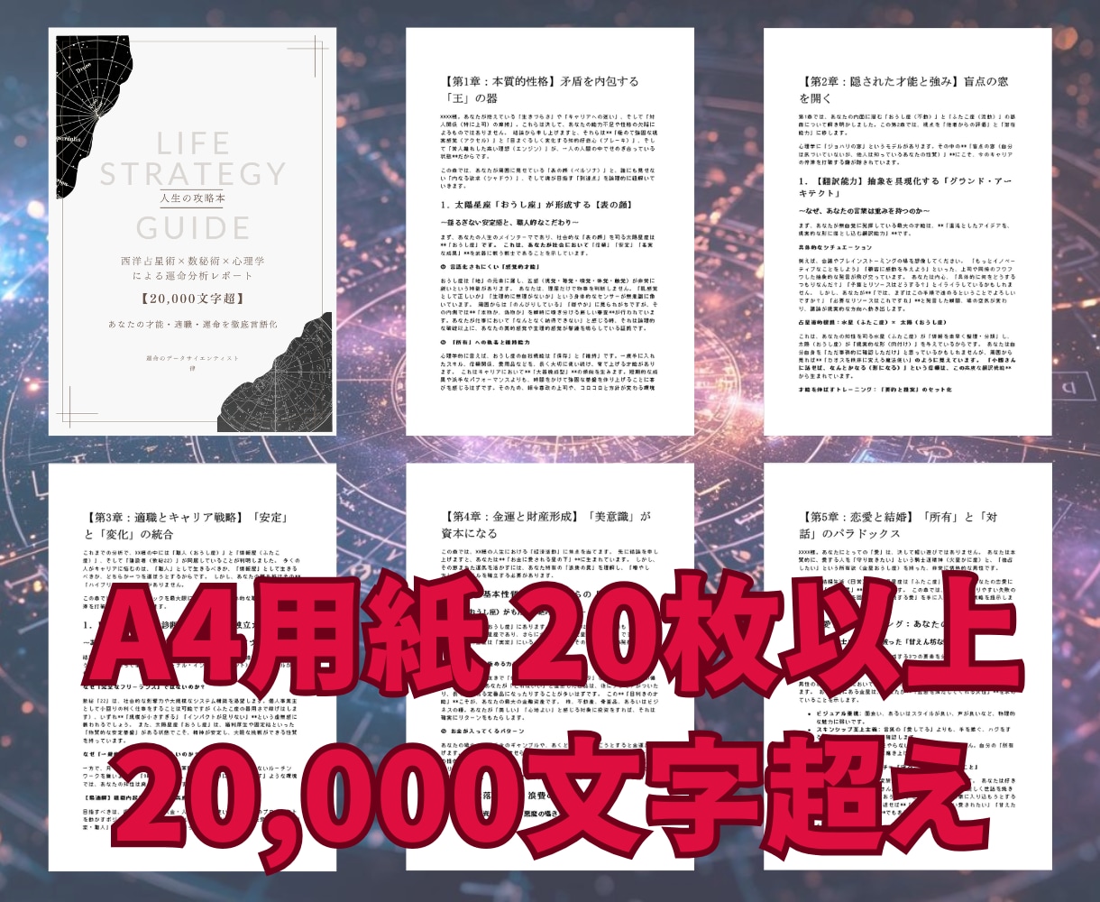 先着3名 適職・転職時期を2万文字で論理分析します 霊視なし。統計データで強みと運気を可視化。2万文字の鑑定書 イメージ2