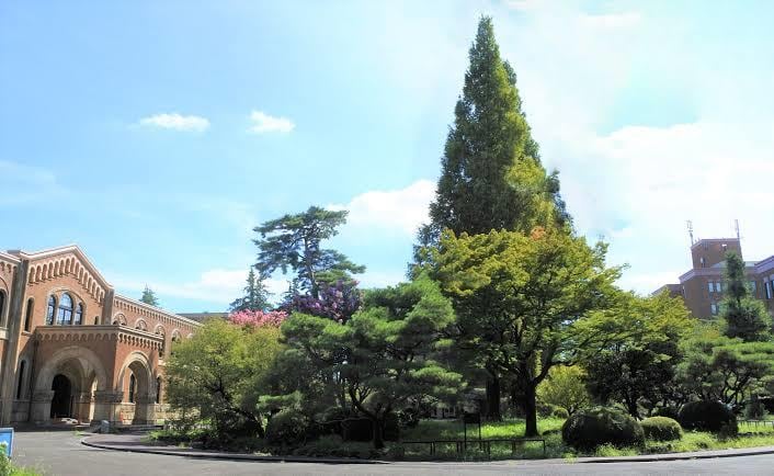 一橋合格者が法科大学院の受験に完全対応します 志望理由書・小論文・面接で問われる内容の添削を実施します。 イメージ1