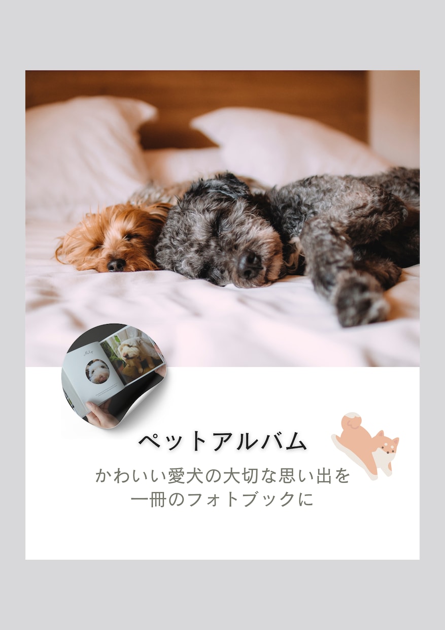 愛するペットのお写真を可愛く撮影します データだけでなくフォトアルバムもセットでお渡しします！ イメージ3