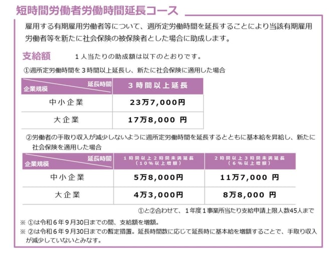 キャリアアップ助成金の計画書作成方法を教えます 専門家への依頼費にお困りの方に誰でもできる簡単作成・申請方法 イメージ8