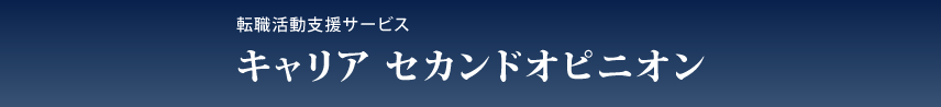 転職活動におけるセカンドオピニオンを承ります 転職先を決定する、その前に、その道のプロに相談してみませんか イメージ2
