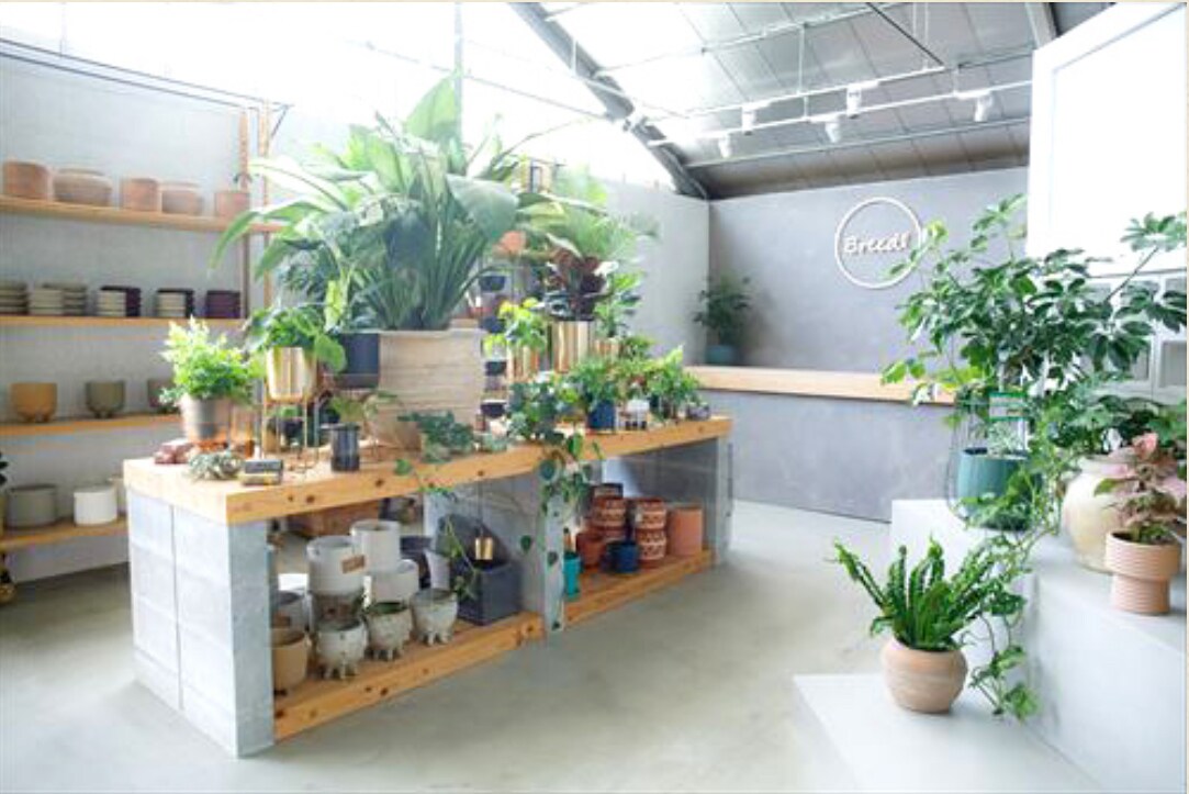 花屋・カフェの開業アドバイスします ヨーロッパで学び×18年現場経験｜憧れのお店をカタチにします イメージ5