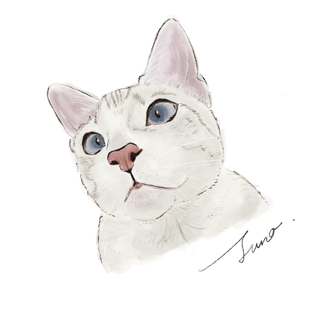 猫ちゃんのイラストをふんわり可愛いくお描きします Cat Portrait Illustration イメージ4
