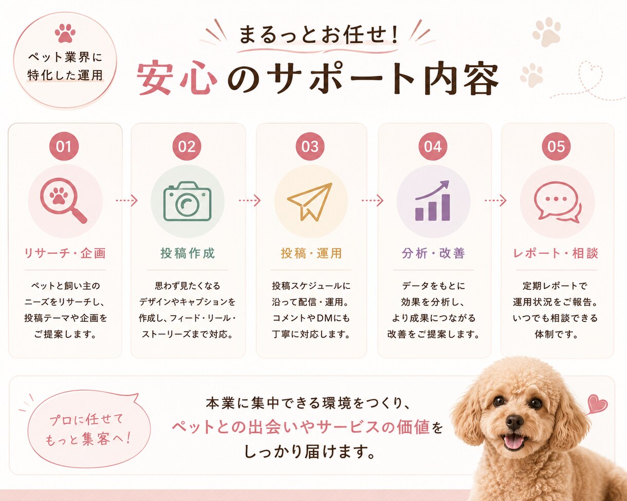 ペット業界特化のInstagram運用代行をします ペット業界に特化したInstagram運用をお任せください イメージ3