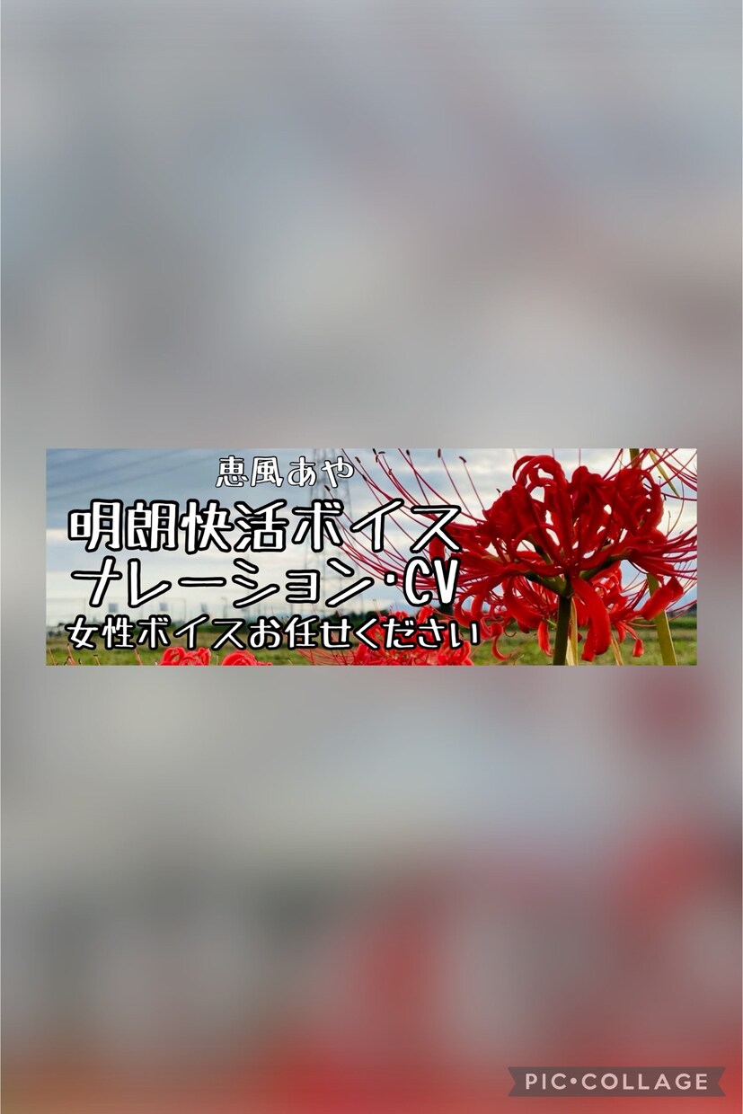 明朗快活ボイスで丁寧に読み上げます 明るい元気な声、ハツラツとした女性ボイスが得意です。 イメージ2
