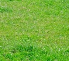 どんな相談でもうけたまわります 鬱、学校、仕事、性別、人間関係、あらゆる相談うけたまわります イメージ1