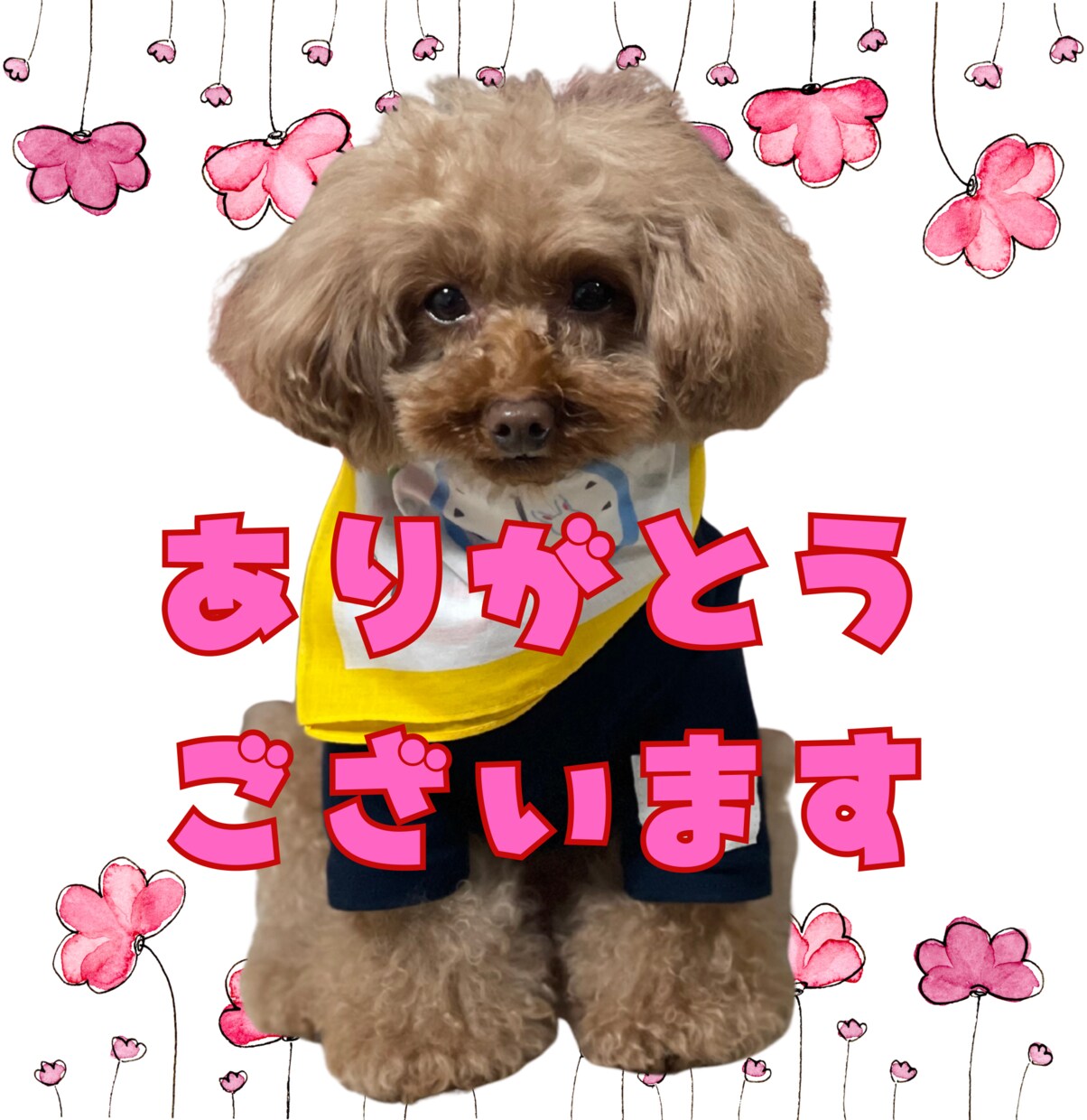 愛するお子様、ペットのラインスタンプつくります LINE公式への登録・販売申請まで行います イメージ1