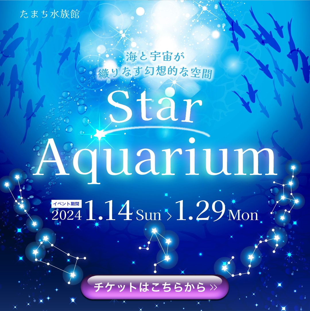 1枚1,500円♦︎WEB画像作成します バナー・ヘッダー・サムネイルetc イメージ2