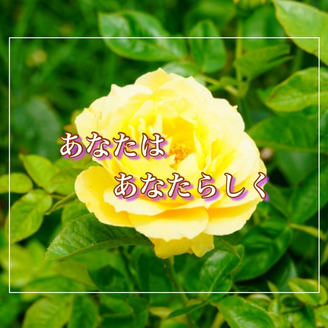 楽しくゆる〜く雑談♡あなたの話し相手になります ⭐️5分〜OK⭐️寄り添うだけじゃないんです♡ イメージ4