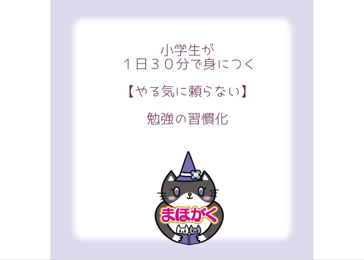 公立小学校に通うお子さんの家庭学習アドバイスします PDF21枚＋チャット☆塾なし魔法の家庭学習☆彡 イメージ3