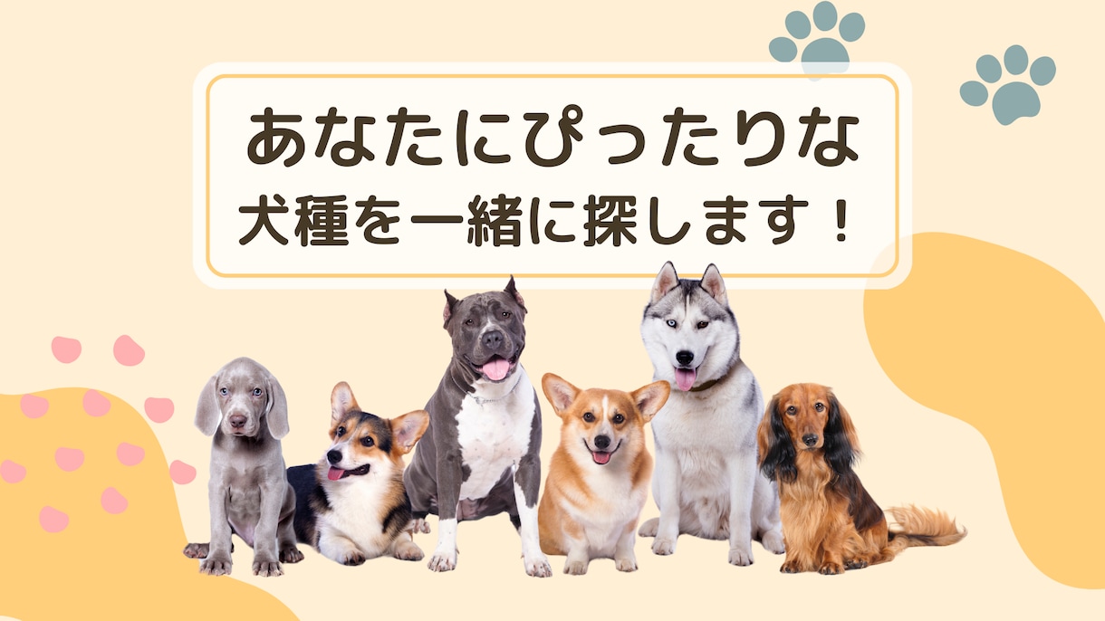 犬を飼いたいあなたの犬種選びを手伝いますます あなたの性格やライフスタイルに合った犬種をご提案します イメージ1