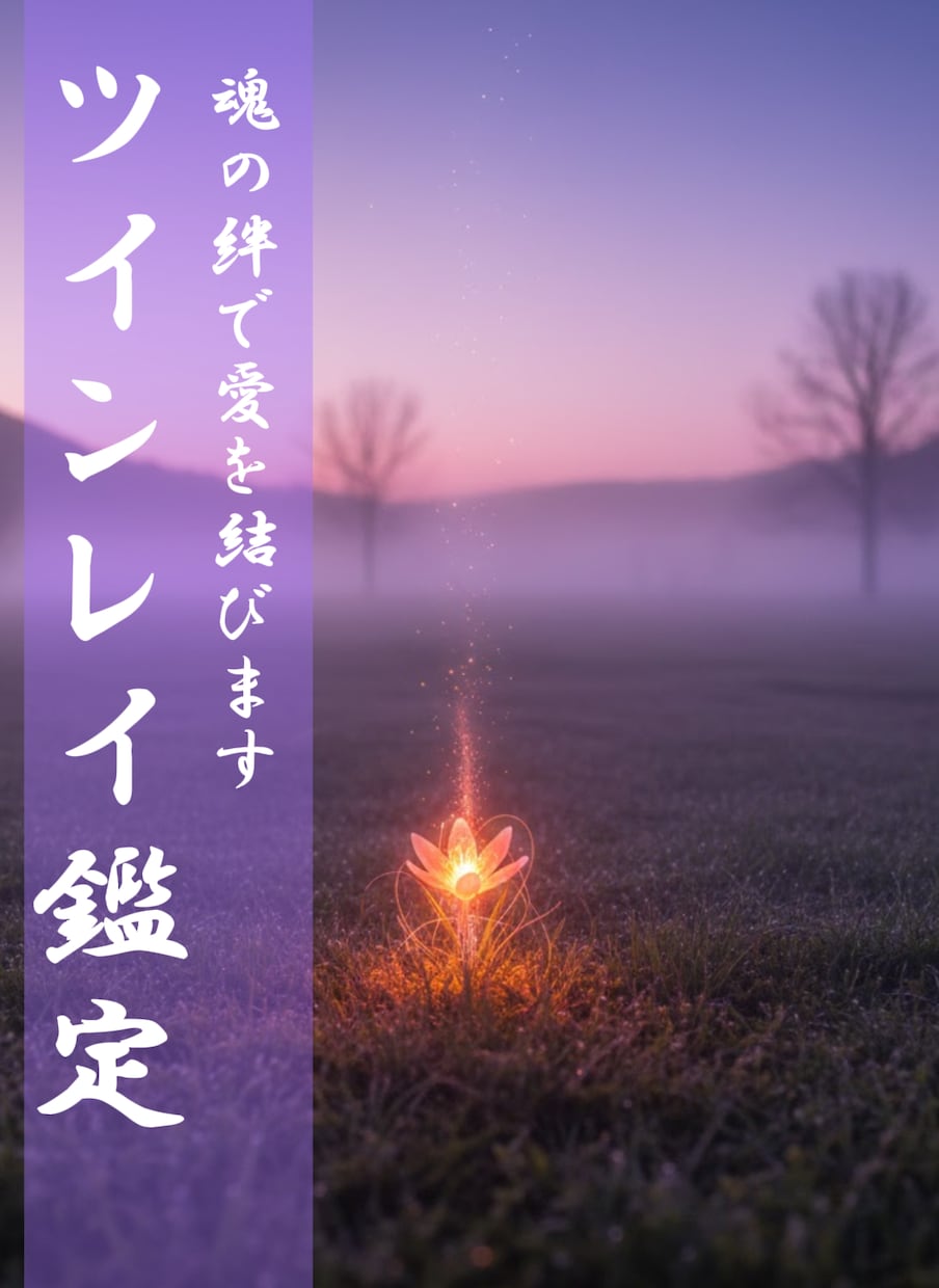 ツインレイ鑑定:魂の絆で愛を結びます 恋敵に負けない相性底上げの必殺技 イメージ1
