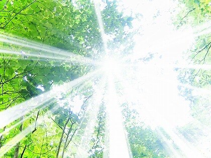 初心者向け！あらゆる悩みを占います 【ブロンズ】yes or no 二者択一とアドバイスします。 イメージ1