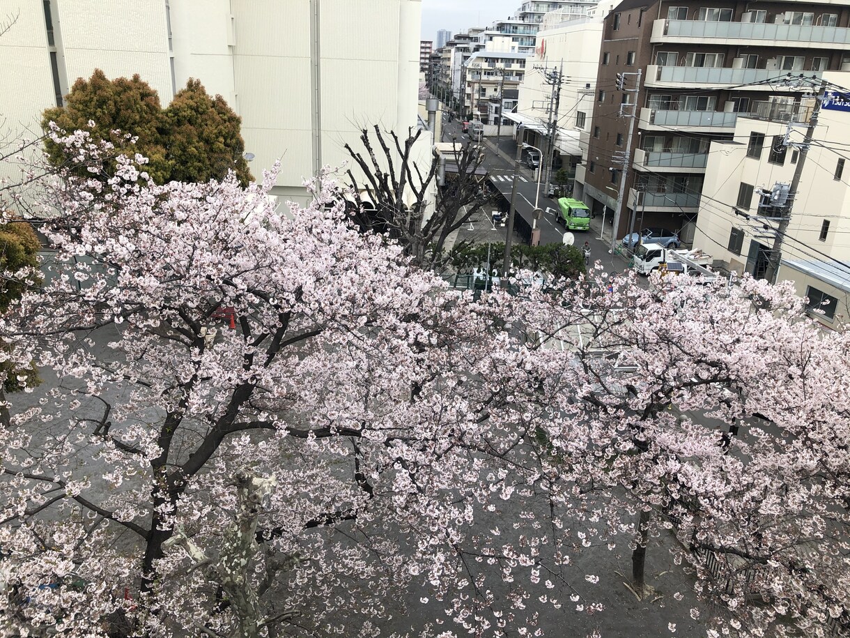 自分の気持ちに気付くお手伝いをします まず自分を理解し、周りの人を理解して、幸せを探しましょう。 イメージ1