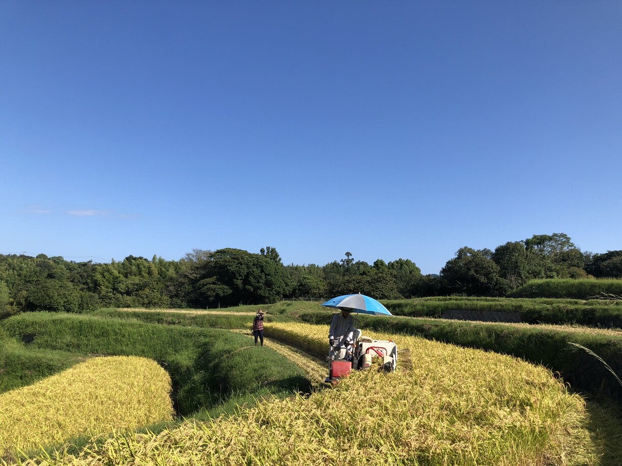 元気☆もりもりでます とにかく元気が欲しい！背中押して！☆happyが欲しい！方♡ イメージ1