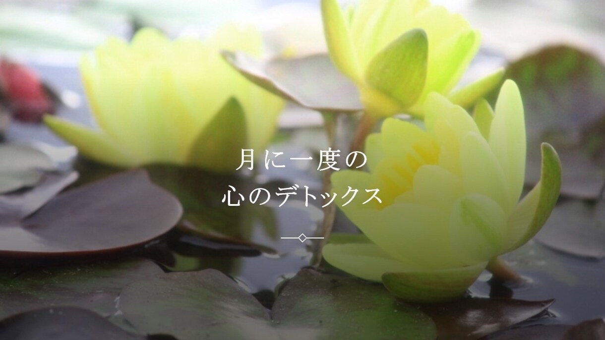 お話伺います。心がほんの少し安らぐ時間を提供します 最後に簡単なストレッチと呼吸のレッスンあります◎ イメージ1