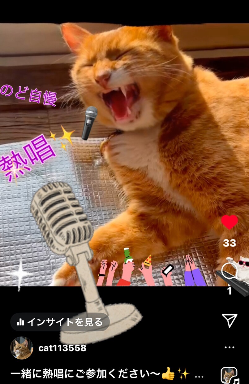 今流行の歌って踊るペットの動画の作り方を教えます ペットの写真をご用意ください、インスタ投稿用動画を作ります イメージ3