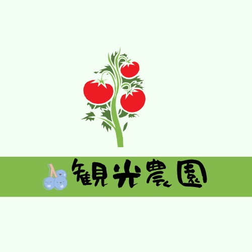 ジャンル問わずご希望に合わせて執筆いたします SNS投稿やブログ記事など、ジャンル問いません イメージ5