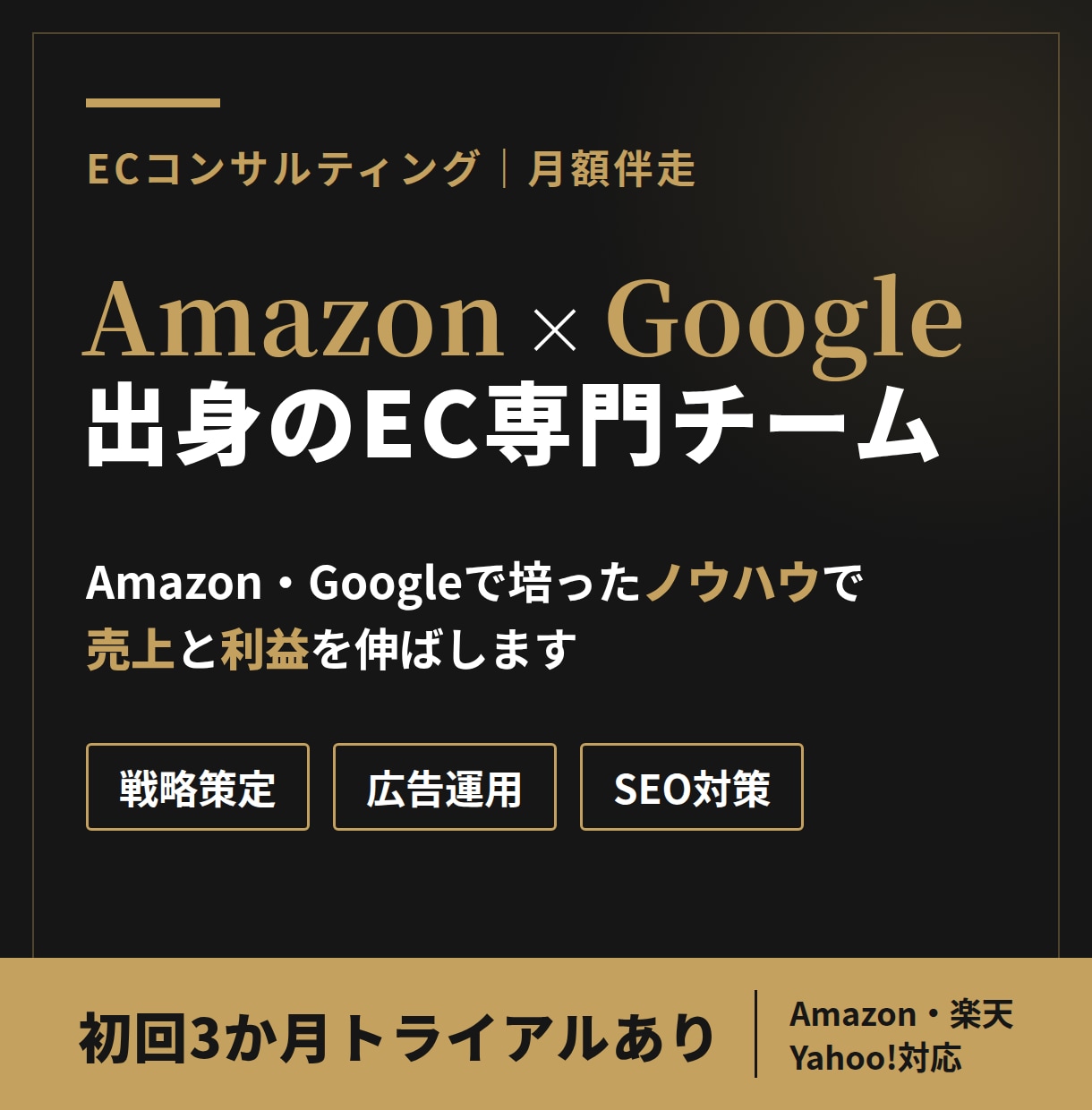 元AmazonのEC専門チームが3か月伴走します 戦略づくりから広告・SEOまで、まず3か月お試しください イメージ1
