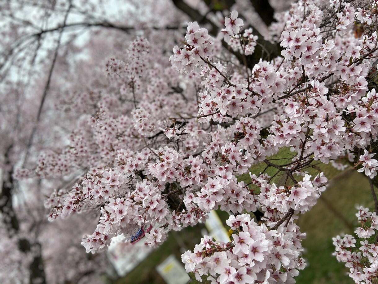 NGなし! 普段言えないコト秘密厳守でお聞きします 否定なし! 今日くらい贅沢に! あなたが主役の時間をご提供! イメージ5