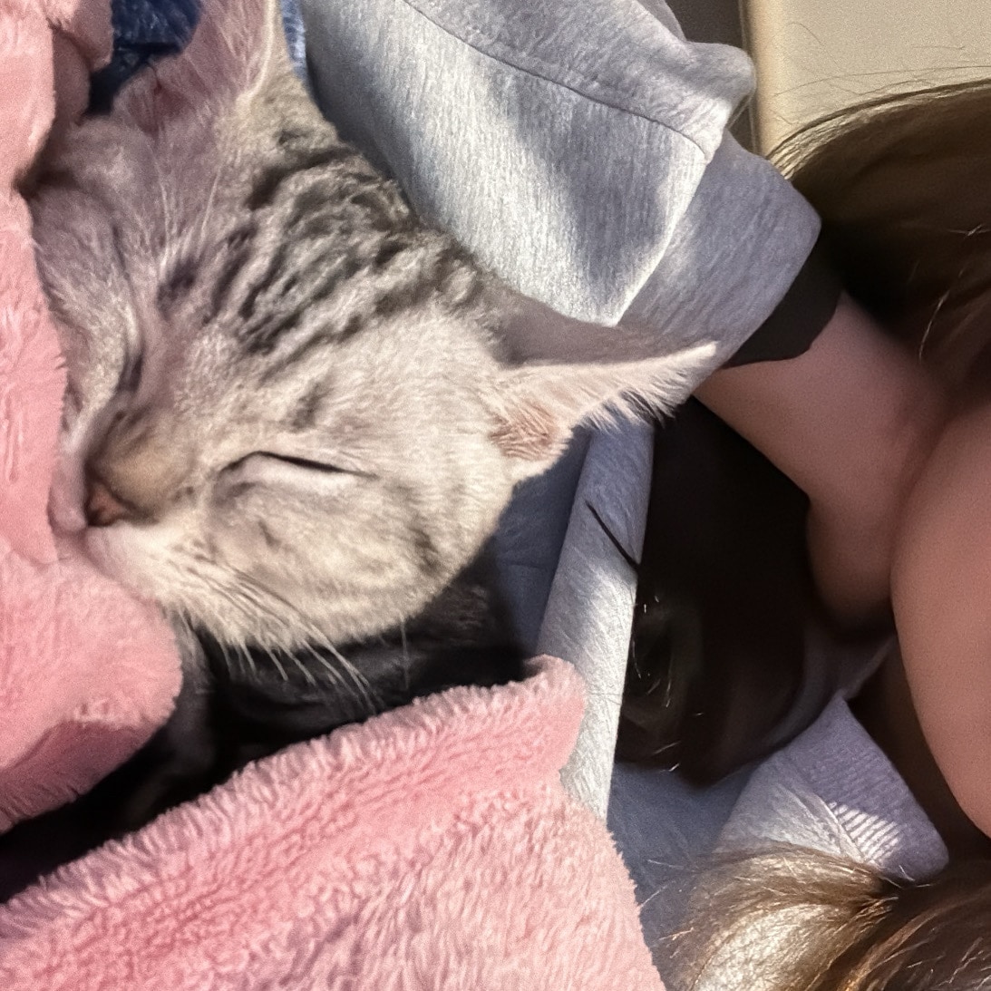何でもない私こそだから聞ける話があると思います あなたのペースでお気軽に!嬉しいからモヤモヤまで大歓迎⭐︎★ イメージ3