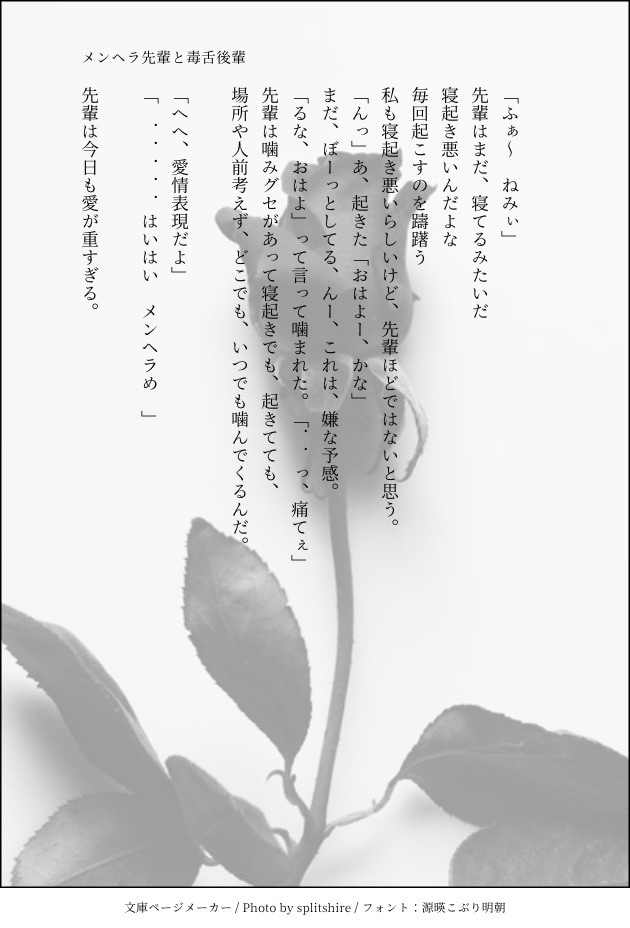 妄想を文字にしたい方！そんな方に小説を書きます あなたが望む理想を提供します！ イメージ2