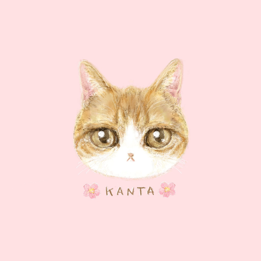 ペットイラストオーダー｜似顔絵をやさしく描きます うちの子イラスト　+単色背景（または背景なし） イメージ2