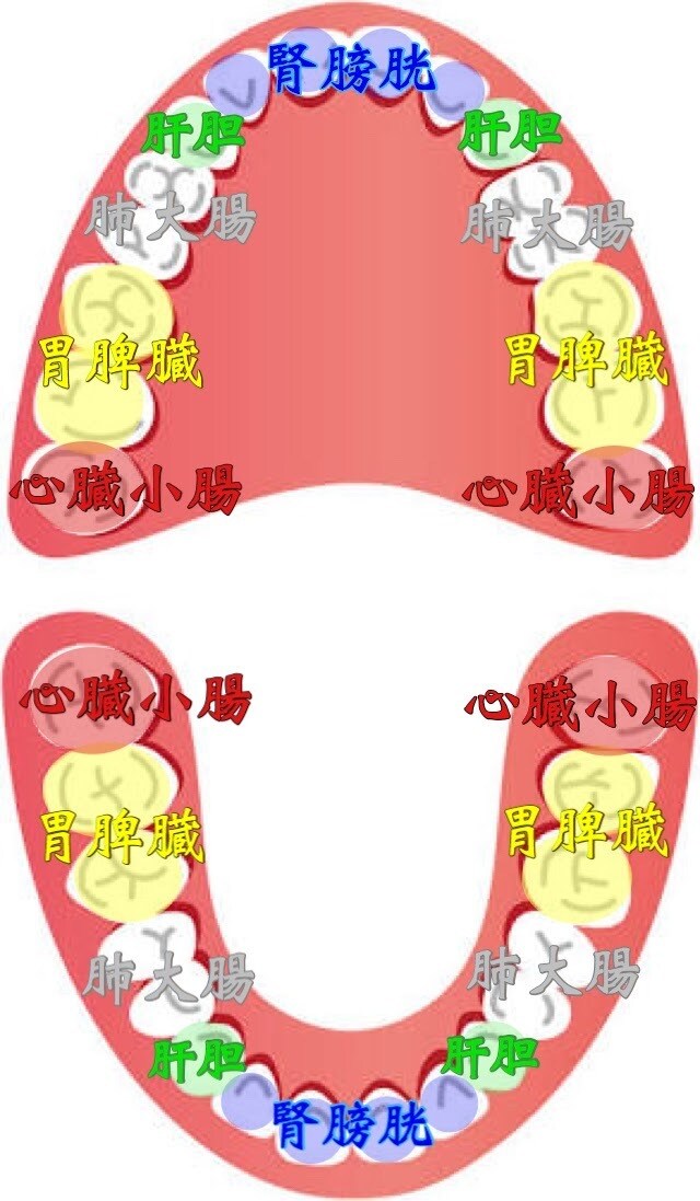 歯にまつわるあらゆるお悩み歯科医師が解決します 歯科治療したくないオーガニック歯科医師です。 イメージ2