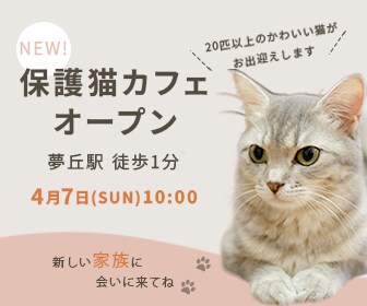 ママ女性向け＊心に届くやさしいバナー制作します 現役ママが制作。丁寧なヒアリングで初めての方も安心です。 イメージ4