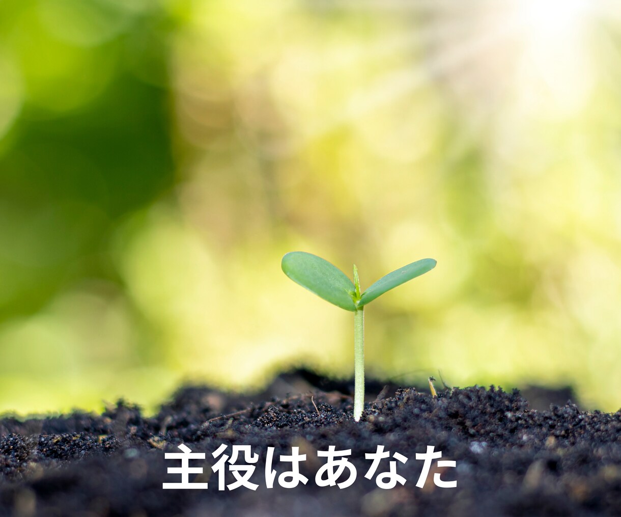 5分だけでもいいの？恋愛のどんな悩みも聴きます 恋愛相談歴14年以上の私があなたの本音をお聴きします イメージ2