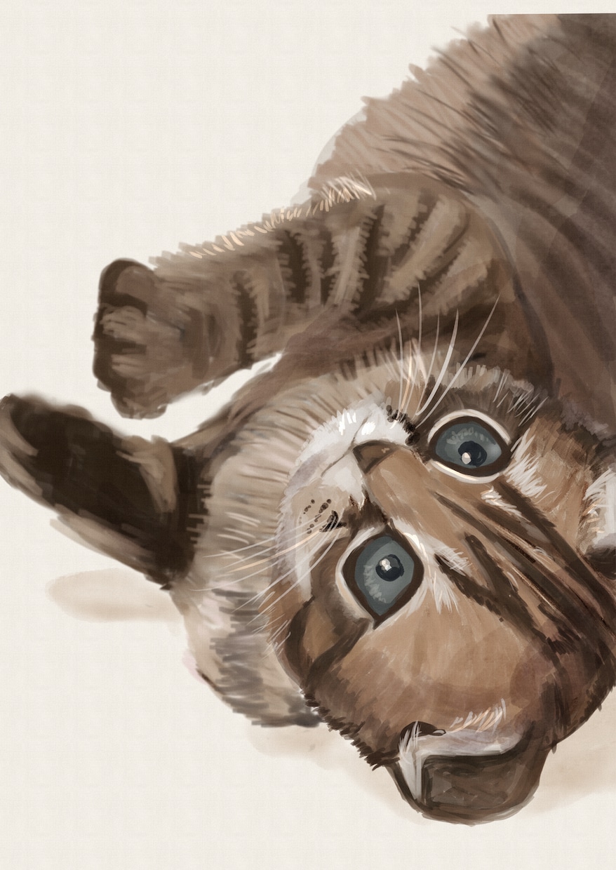 ペット・動物のイラスト描きます 資料写真や特徴に合わせてペットのイラストを可愛く描きます！ イメージ2